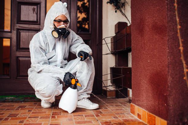 Attic and Crawl Space Rodent Treatment in Raven
